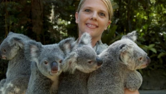 Beaches Meet&Greet: Hartley's Creek Crocodile Adventure - DEPARTS CAIRNS