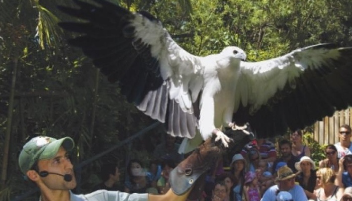 Beaches Meet&Greet: Cairns Night Zoo - DEPARTS CAIRNS