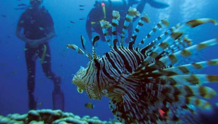 Kiana - 3 Day/2 Night  Whitsundays Sailing Adventures - Islands and Outer Reef