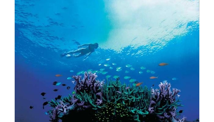 Whitsunday Getaway - 2DAY/2NIGHT Whitsundays Sailing Adventures - Sailing in Style
