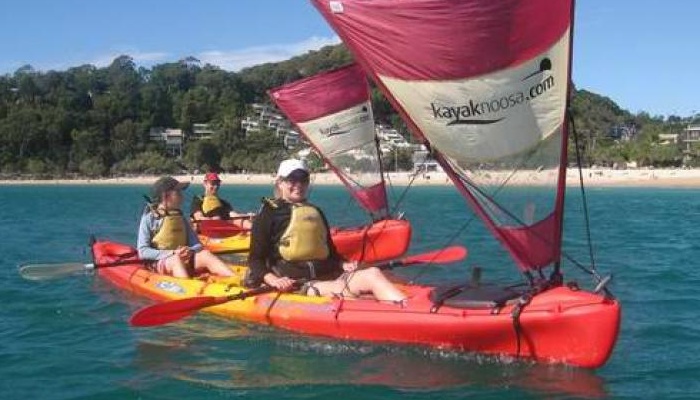 Kayak Noosa: Dolphin Kayak Adventure