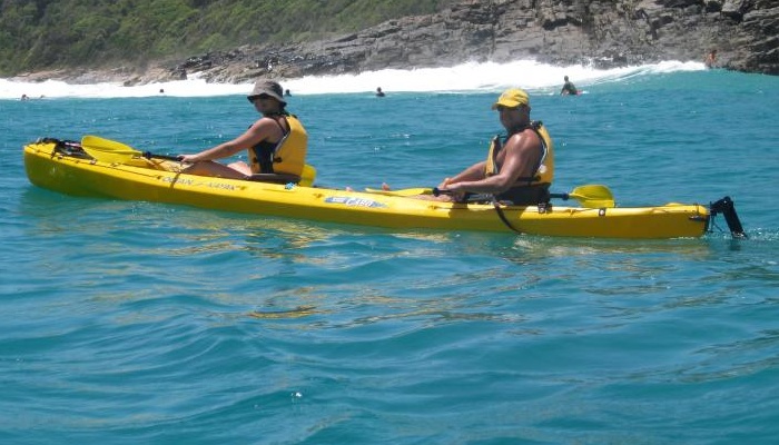 Kayak Noosa: Dolphin Kayak Adventure