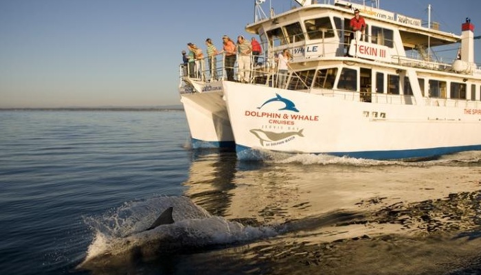 Dolphin Watch Cruises Jervis Bay: Eco Extreme Jervis Bay 1.5hrs