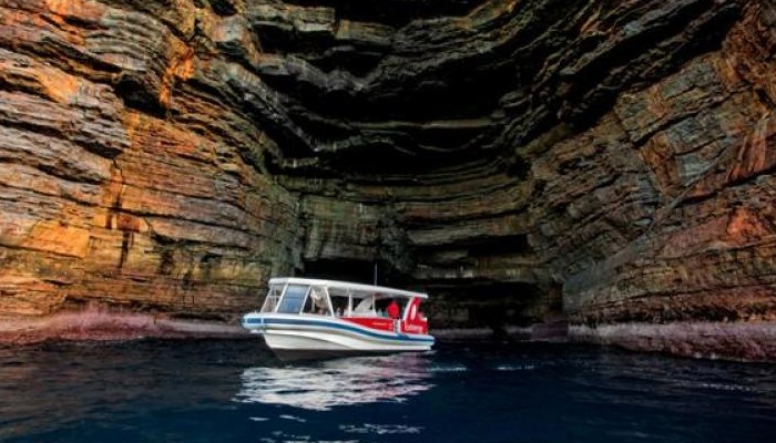 Dolphin Watch Cruises Jervis Bay: Eco Extreme Jervis Bay 1.5hrs