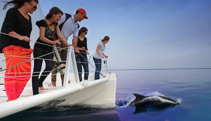 Dolphin Watch Cruises Jervis Bay: Eco Extreme Jervis Bay 1.5hrs