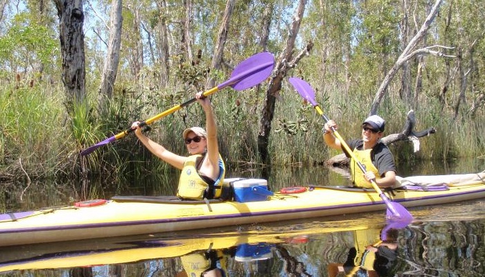 Kanu Kapers: 1 Day Guided Noosa Everglades Kayak Tour (incl. Harry's Hut)