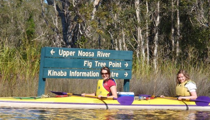 Kanu Kapers: 1 Day Guided Noosa Everglades Kayak Tour (incl. Harry's Hut)