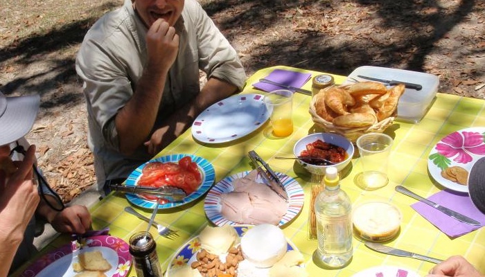 Kanu Kapers: 1 Day Guided Noosa Everglades Kayak Tour (incl. Harry's Hut)