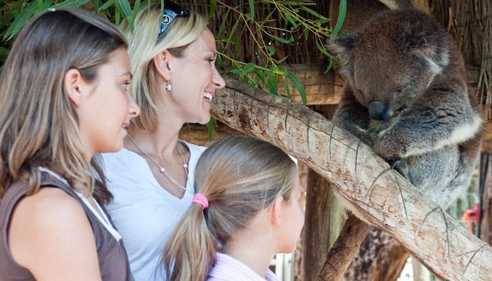 Adelaide Sightseeing: Cleland Wildlife Park Tour (AS11)