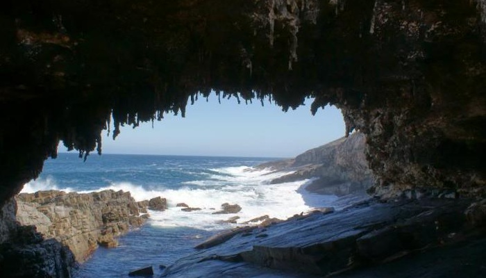 SeaLink: Kangaroo Island Highlights Day Tour - cruise/cruise (HTCC)