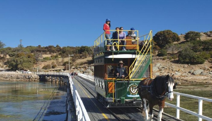 Adelaide Sightseeing: Victor Harbor&McLaren Vale Highlights Tour - (AS18)