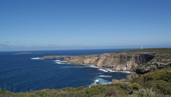 SeaLink: Kangaroo Island Highlights Day Tour - cruise/cruise (HTCC)