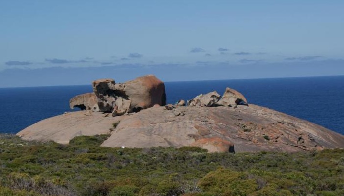 SeaLink: Kangaroo Island Highlights Day Tour - cruise/cruise (HTCC)
