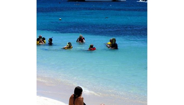 Ocean Spirit Cruises: 1 day Michaelmas Cay Cruise - Cairns, including taxes.